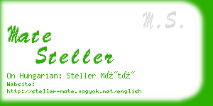 mate steller business card